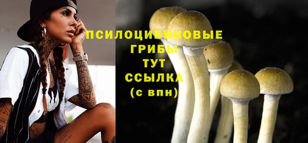 прущие крисы Белоозёрский