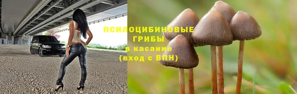 прущие крисы Белоозёрский