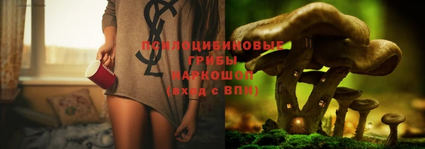 прущие крисы Белоозёрский