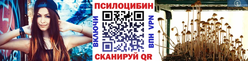OMG маркетплейс  Елабуга  Галлюциногенные грибы Magic Shrooms  что такое  